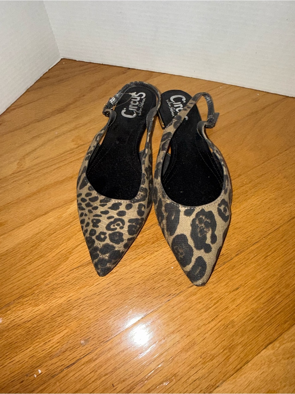 Circus by Sam Edelman Leopard Print Pointed Slingback Flats - Brown/Black